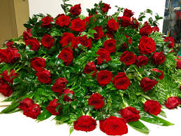 All Red Rosaprima Rose Casket Blanket By Carolyn Phillips For Craig Tremble Funeral Home With Syndicatesale Funeral Flowers Sympathy Flowers Christmas Wreaths