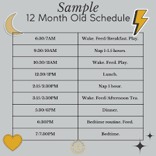 12 MONTH OLD SCHEDULE 😴 Here is what you can expect your day to look like  with a 12 month old. You made it! 😴 Wake times for a 12 month old