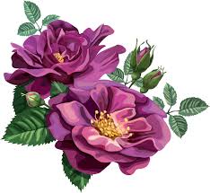 Rosa azul de la Flor Púrpura Clip art - rosa 977*900 transparente ...