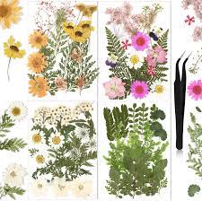 Real dried pressed flowers,assorted colorful natural dried flowers for art craft diy resin bonket123459. Amazon Com Nuanchu Real Dried Pressed Flowers For Resin Leaves Natural Pressed With Tweezers For Scrapbooking Diy Candle Decoration Resin Jewelry Crafts Nails Decor Candle Soap Making Home Kitchen