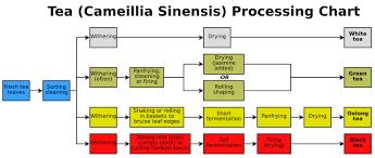 File Tea Processing Chart Png Wikimedia Commons