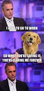 Jordan Peterson Meme | Funny memes, Funny, Funny pictures