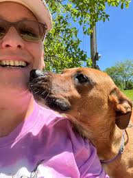 Foster puppies need adoption or foster care