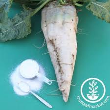 Image result for sugar beet