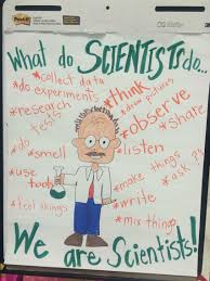 First Grade Science What Do Scientists Do We Are