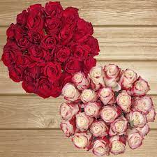 Great savings & free delivery / collection on many items. Red Bicolor Red White Roses Ebloomsdirect Eblooms Farm Direct Inc