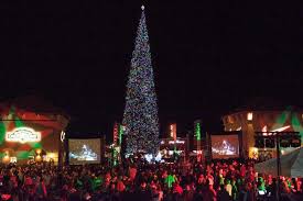 Trees | available online at great prices on takealot.com, south africa's leading online store. America S Tallest Fresh Cut Christmas Tree At Outlets At Anthem In Phoenix Store Windows At Fashionwindows