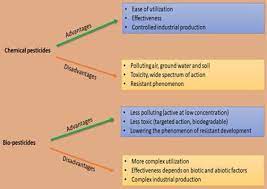 Biological control minimizes environmental, legal and public safety concerns. Antagonist Effects Of Strains Of Bacillus Spp Against Rhizoctonia Solani For Their Protection Against Several Plant Diseases Alternatives To Chemical Pesticides Sciencedirect