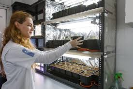 Facultatea de psihologie și științe ale educației. Biologie Admitere LicenÈ›Äƒ Admitere 2021 Universitatea Alexandru Ioan Cuza Din IaÈ™i