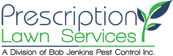Our experienced exterminators can eliminate your flea and tick problem. Pest Control San Antonio Trusted Exterminator Lawn Services Maintenance