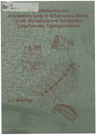 Image result for Englerodendron mengei