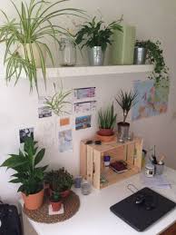 Indoor Plants Tumblr Aesthetic Room Decor Indie Room Aesthetic Rooms