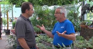 Check spelling or type a new query. Hgtv Stars Where Are They Now Gardenrant