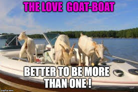 images?q=tbn:ANd9GcRTnMmYcC-H3ADUQjdqzNJ