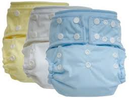 Keeper Of The Homes Pocket Diaper Review Keeper Of The Home