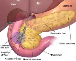 Periampullary Cancer Symptoms Staging Treatment Dr Nikhil Agrawal