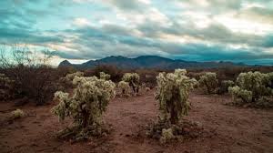 Range borders shown on map are an approximation and are not authoritative. Santa Rita Mountains Stock Video Footage 4k And Hd Video Clips Shutterstock