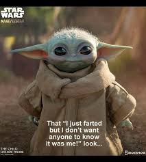 Pin By Miranda Jenkins On Baby Yoda Memes In 2020 Child Life Star Wars Animals
