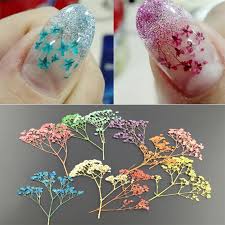 Check spelling or type a new query. 7 Colors 3d Decoration Real Dry Dried Flower For Uv Gel Acrylic Nail Art Tips Nail Art Summer Nail Art Hacks Nail Art Diy