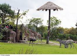 It was taken over by the city of leipzig in 1920 after world war i and now covers about 27 hectares (67 acres) and contains approximately 850 species. Leipzig Zoo Entrance Ticket 2021