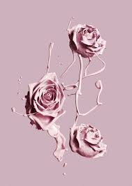 Download 304,992 cute pink background stock illustrations, vectors & clipart for free or amazingly low rates! Pinterest Wright5392 Bunga Cat Air Lukisan Bunga Poster Bunga