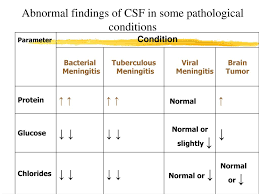 Image result for CSF Protein