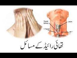 What to do if thairath.com is down? Thyroid In Urdu Meaning Thyroid Stimulating Hormone Meaning In Urdu