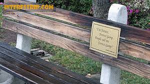 A sweeping look at thirty tumultuous years of american history seen through the eyes of the charmed simpleton . 50 Fakten Uber Forrest Gump Die Mama Dir Nicht Erzahlt Hat