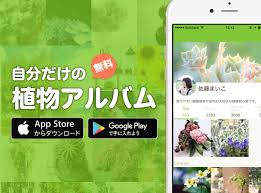 写真を撮るだけ アプリが花 植物の名前を教えてくれる