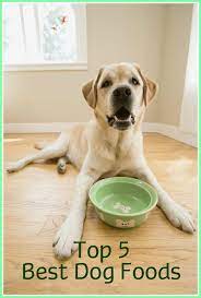 Top 5 Dog Foods Best Dog Foods Reviewed For 2018 Dog Food Reviews Best Dog Food Dog Food Recipes