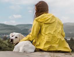 Gro�e auswahl an hundefutter, hundespielzeug und hundepflege im schecker hundeshop! Kleidung Fur Hund Und Halter Schecker Hundeshop