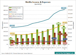 Evaluation Of Netflixs Financials Can Turtles Fly