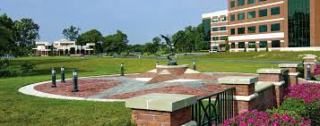 Staff Directory • Housing & Community Development