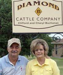 Diamond B Cattle Company Jersey Dairy Grass Fed Cows Local Farm Decatur