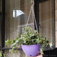 The right orchid pot will complement your orchid's growing environment. Creative Lifting Hanging Orchid Pot Hook Plant Retractable Hanger Flower Basket Hanging Gadget Home Garden Au24 20 Dropship Hanging Baskets Aliexpress