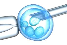 Apple And Facebook Paying For Oocyte Freezing And Fertility Treatments For The Female Employees Surrogacy India paying for oocyte freezing