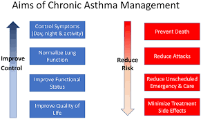 Check spelling or type a new query. Frontiers Two Sides Of The Same Coin Treatment Of Chronic Asthma In Children And Adults Pediatrics