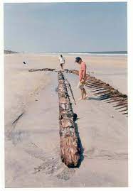 Metal detectors mainly use either vlf; Artifact Collecting St Johns County Response And Other Resources