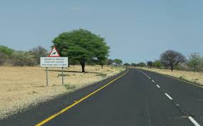 Es ist von namibia, südafrika, simbabwe und sambia umgeben und etwa so groß wie frankreich. Autofahren In Botswana Tipps Zu Mietwagen Strassen Erfahrungen