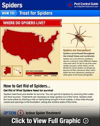 You shouldn't have to be bothered by pests every time that. How To Get Rid Of Spiders Diy Spider Control Inside Outside