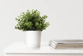 Mobilier Et Decoration Interieur Et Exterieur Decoration Interieure Et Exterieure Fleurs Ikea Pot De Fleurs