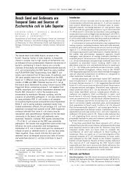 pdf) beach sand and sediments are