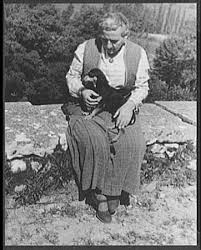 Gertrude Stein I Am I Because My Little Dog Knows Me Dachshund Dog Little Dogs Dachshund Love