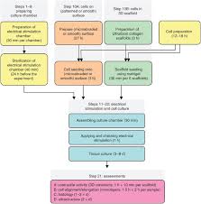 He knows that cultural differences can act as a barrier to communication, and that they could affect his ability to build connections and motivate people. Electrical Stimulation Systems For Cardiac Tissue Engineering Nature Protocols