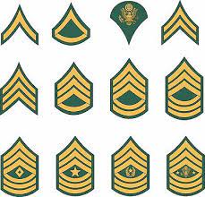 The enlisted side goes as follows: Army Enlisted Rank Insignia Stickers Ebay