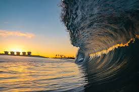 Todd Willer (@electricwooly) • Instagram photos and videos