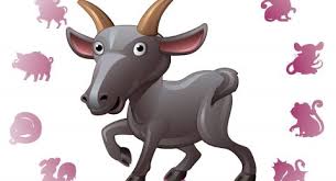 Berbagai harapan terbaik pun menjadi resolusi pada tahun kerbau logam ini. Shio Hari Ini Kamis 31 Desember 2020 Tahun 2021 Karma Bagi Kambing