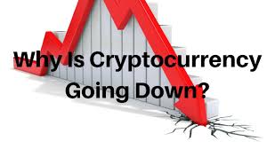 Dogecoin's rival, shiba inu, is down by 9.74% at $0.000008. Why Is Crypto Going Down Today Trading Ideas Cryptocurrency