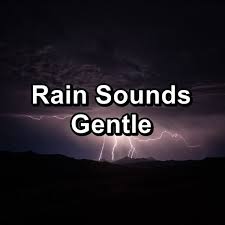 Free download nature sounds mp3 for sleep and relaxation. Album Rain Sounds Gentle Cam Dut By Relaxing Rain Sounds Qobuz Download And Streaming In High Quality