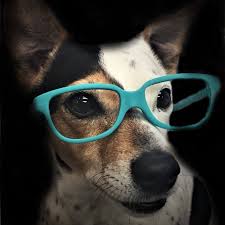 We did not find results for: Trinity Eye Associates Home Facebook